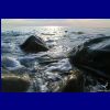 IMG_2593.jpg