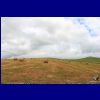 IKAR9677.jpg